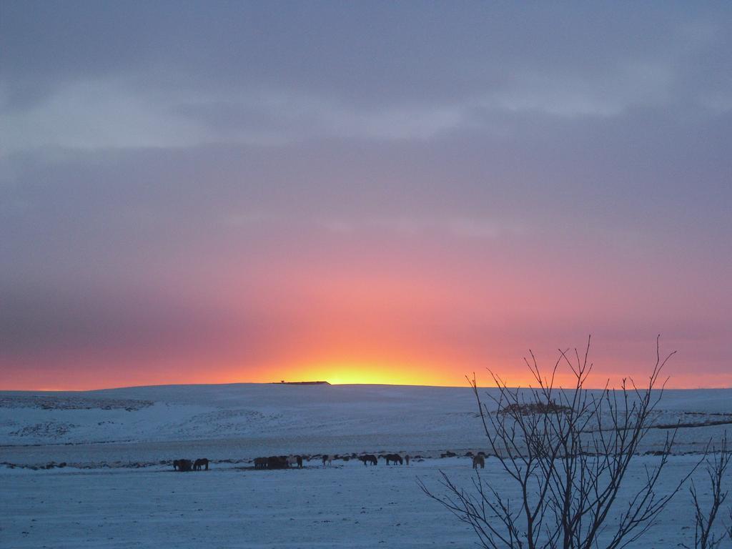 1A Guesthouse Vatnsholt エクステリア 写真
